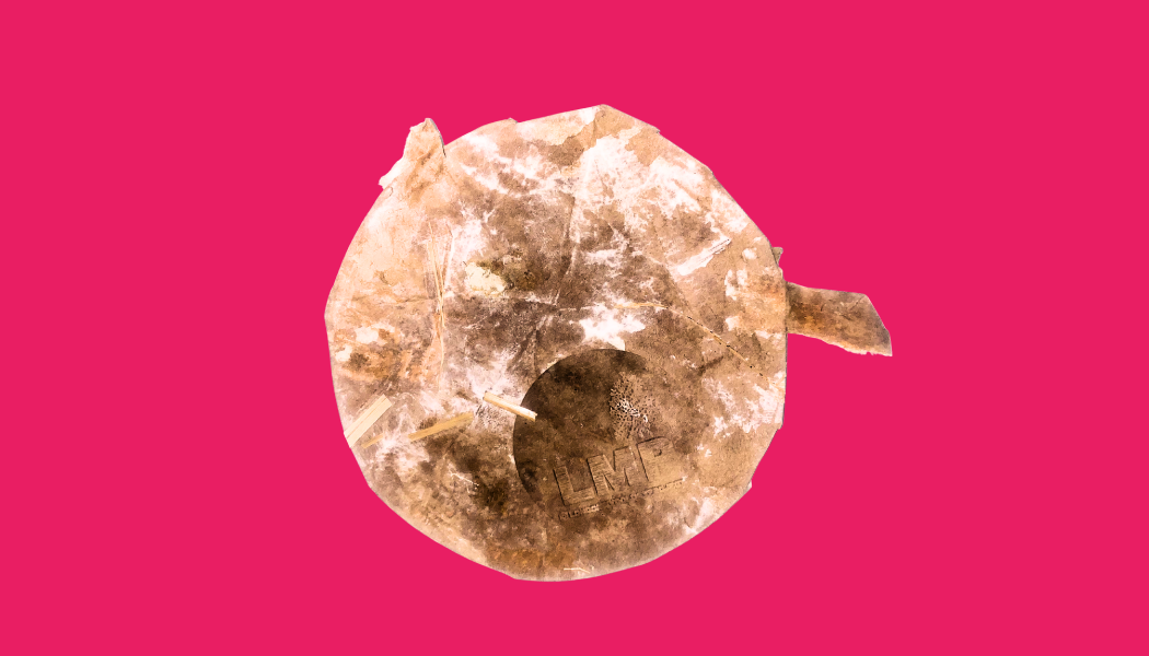 Mycelium Disc